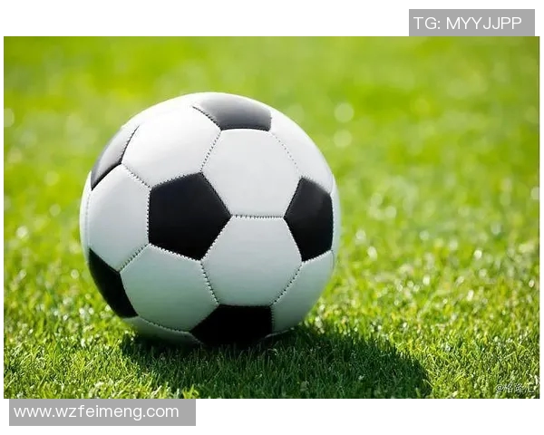 深度对话杨丽分享她的足球人生与梦想追逐之路