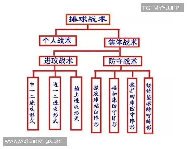 西安排球队意识的深度分析与战术应用探讨