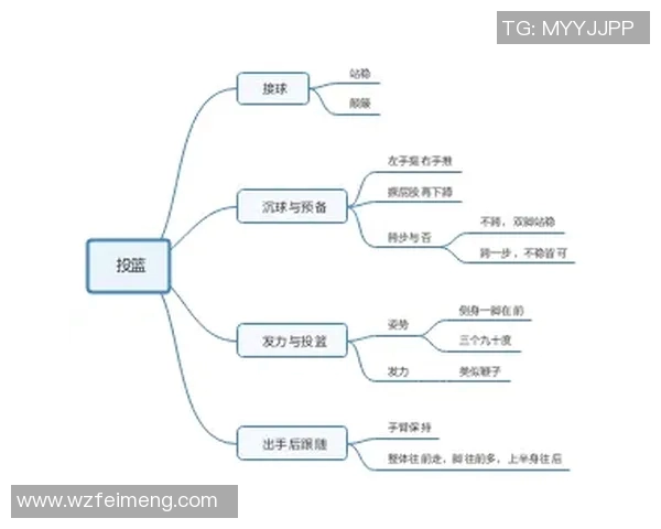 篮球新手必看:快速掌握技巧与战术的全面入门指南 篮球新手必看:快速掌握技巧与战术的全面入门指南