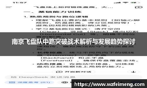 南京飞盘队中路突破战术解析与发展趋势探讨