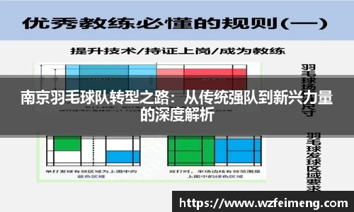 南京羽毛球队转型之路：从传统强队到新兴力量的深度解析