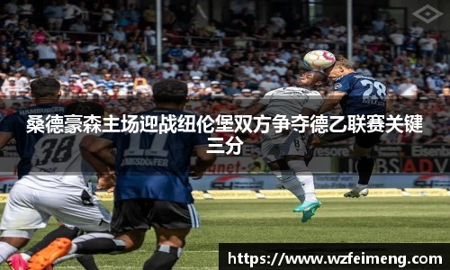 桑德豪森主场迎战纽伦堡双方争夺德乙联赛关键三分