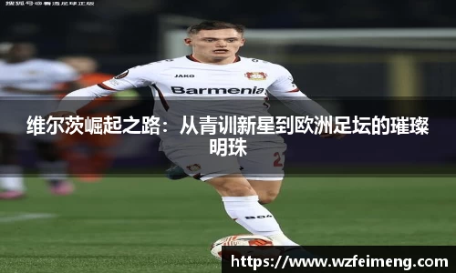 bwin必赢国际