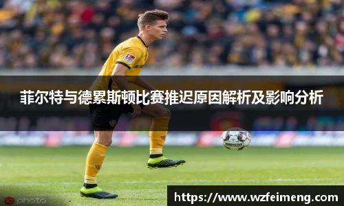 菲尔特与德累斯顿比赛推迟原因解析及影响分析