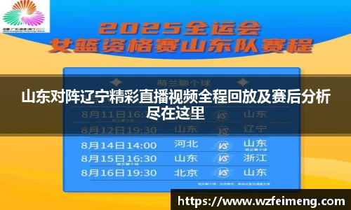 山东对阵辽宁精彩直播视频全程回放及赛后分析尽在这里