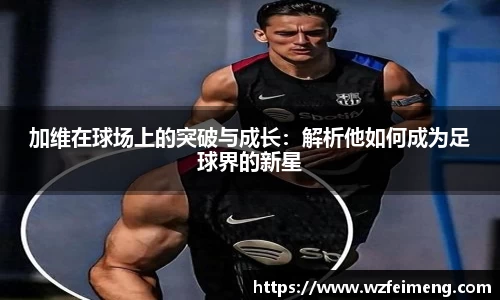 好博体育平台